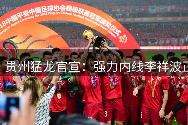 贵州猛龙官宣：强力内线李祥波正式签约加盟