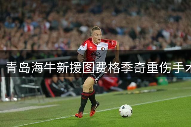 青岛海牛新援图费格季奇重伤手术，赛季征程蒙上阴影